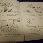 Vanha lastenkirja : Oivat Ystävämme ( 1910-1920-luvulta ) - pikkukuva 4