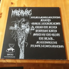 Martyrvore - Malevolent Desolation lp 2014 Death Metal - pikkukuva 2