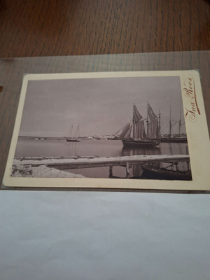 7 Ina Roos kortti