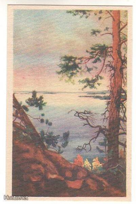 MÄNTY KORKEALLA KALLIOLLA