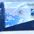 FDC Leijonamerkki euronaikaan 31.12.2001 - 1.1.2002 - pikkukuva 4