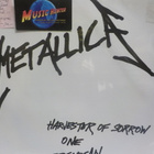 METALLICA - HARVEEST OF SORROW ONE BREADFAN 12" - pikkukuva 1