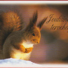 Suomen Luonnonsuojeluliitto Orava - pikkukuva 1