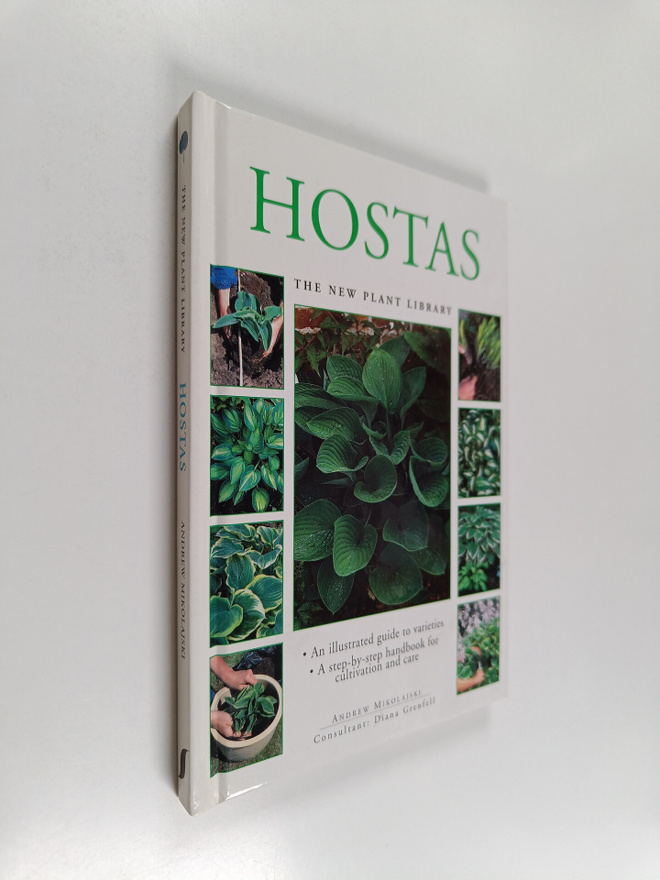 Andrew Mikolajski : Hosta