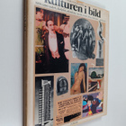 Edward Lucie-Smith : Kulturen i bild : 1900-talets måleri... - pikkukuva 1