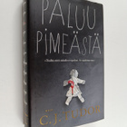 C. J. Tudor : Paluu pimeästä - pikkukuva 1