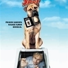 SPOT (14 087) k -FI- DVD david arquette 2001 - pikkukuva 1