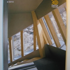 Puu lehti 2010 vuosikerta, 4 kappaletta lehtiä - pikkukuva 4