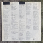 STEVE MILLER BAND: Living In The 20th Century (LP) 1986 - pikkukuva 3