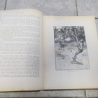 ROBINSON CRUSOE AF DANIEL DEFOE ( hieno kirja v 1899 - pikkukuva 3