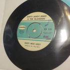 ANTTI EINIÖ & THE ISLANDERS - FARMER JOHN VG+ 7'' SINGLE - pikkukuva 2