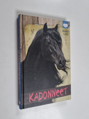 Becky Citra : Kadonneet