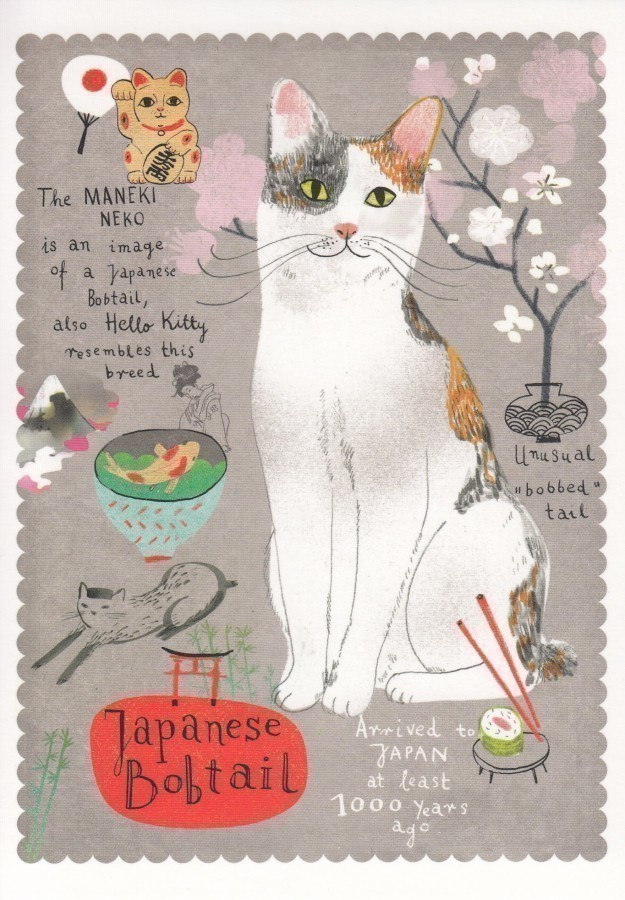 Marianna Sztyma:  Japanin bobtail (isohko postikortti)