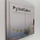 Daniela Salo : Pysseldax : pysselideer för stora och små - pikkukuva 1