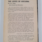 W.G. Archer : The loves of Krishna in Indian painting and... - pikkukuva 2
