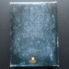 DVD: The Lord of the Rings - The Return of the King Special - pikkukuva 2