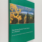 Northwest Russian forest sector in a nutshell - pikkukuva 1