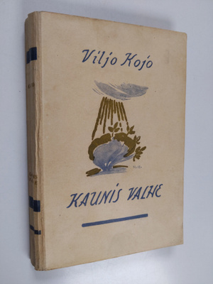Viljo Kojo : Kaunis valhe