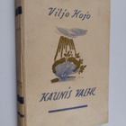 Viljo Kojo : Kaunis valhe - pikkukuva 1