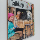 Tiina Vainikainen : Tallikirja - pikkukuva 1