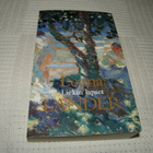 Leena Lander Liekin lapset  -pok - pikkukuva 1