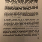 AUGUST STRINDBERG: LUOSTARI - pikkukuva 2