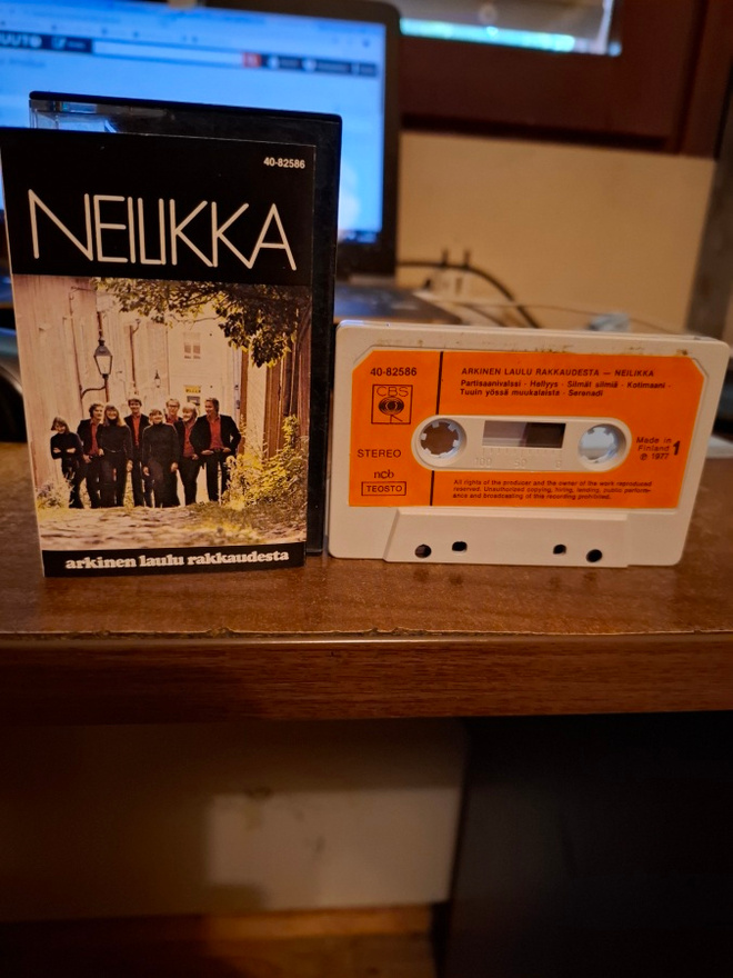 Neilikka - Arkinen Laulu Rakkaudesta