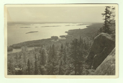 SMY:n postikortti: Koli