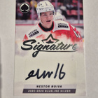 Blueline 25-25 Nestor Noiva signature silver - pikkukuva 1