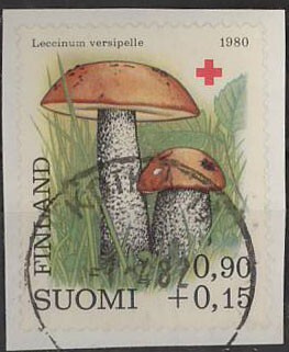 1980 PR 90p loisto Kotka-82