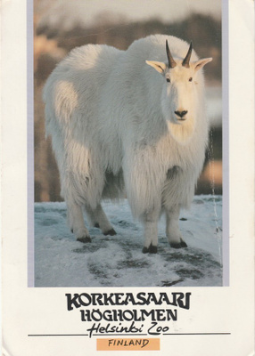 Postikortti, HELSINKI, KORKEASAARI, LUMIVUOHI, erikoisleima