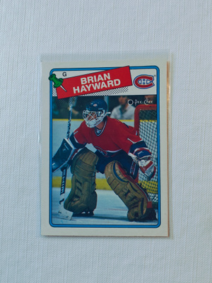 88-89 Opc - Brian Hayward