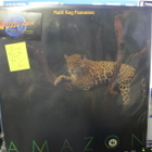 MATTI RAG PAANANEN - AMAZON FIN -90 RARE  M-/M- LP - pikkukuva 1
