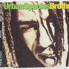 Urban Species • Brother CD-Single - pikkukuva 1