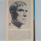 Boris Pasternak : Doktor Zjivago - pikkukuva 2