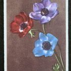 kukkakortti unikkoja, kulkenut  1940 - pikkukuva 1