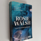 Rosie Walsh : Tuntematon rakkaani - pikkukuva 1