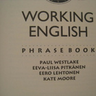 Working English Phrase book - pikkukuva 3