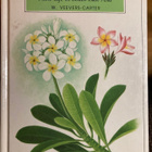 PLANT LIFE IN SOUTH-EAST ASIA - pikkukuva 2
