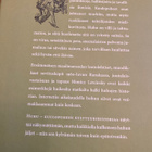 NEUBAUER: HUHU - KUULOPUHEEN KULTTUURIHISTORIAA - pikkukuva 2