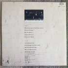 ROBERT CRAY: Midnight Stroll (LP) 1990 - pikkukuva 2