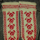 Ruusulapaset - pikkukuva 1
