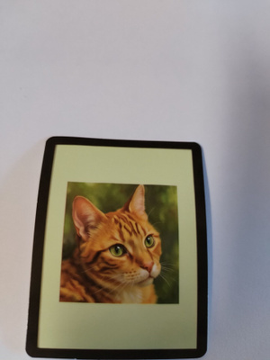 Söpö kissa tarra.