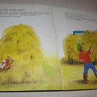Pupu Tupunan pulma -nid - pikkukuva 2
