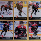 2024-25 Blueline Series 1 JYP Team Set 12 korttia (49-60) - pikkukuva 1