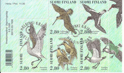 1996 Bl 17 Kahlaajalintuja epleimattuna
