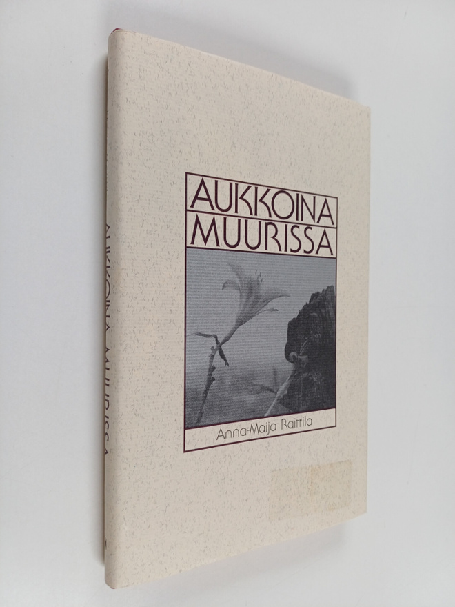 Anna-Maija Raittila : Aukkoina muurissa