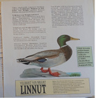 Veljekset Von Wright: LINNUT numeroitu painos 1993 - pikkukuva 5