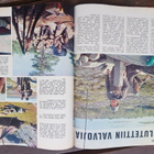lehti suomalainen 5 / 1970 - pikkukuva 4