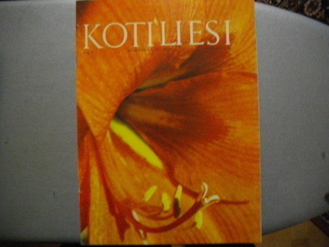 Kotiliesi Nro 8/1965 (15.3)